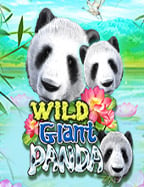 casino เครดิต ฟรี สำหรับทดลองเล่นเกมสล็อตออนไลน์